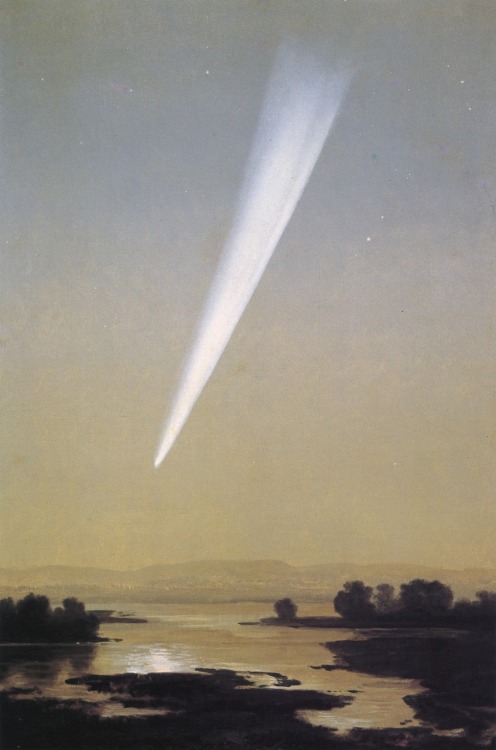 windypoplarsroom:

José María Velasco
“Gran cometa de 1882″
